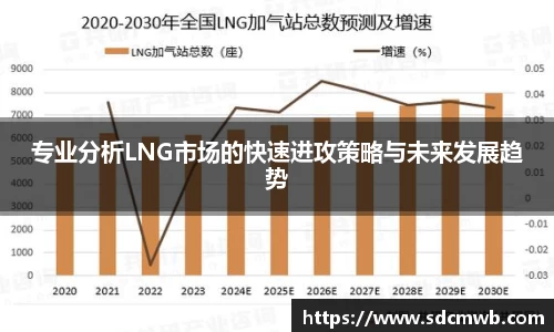 专业分析LNG市场的快速进攻策略与未来发展趋势