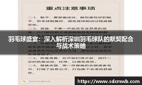 羽毛球盛宴：深入解析深圳羽毛球队的默契配合与战术策略