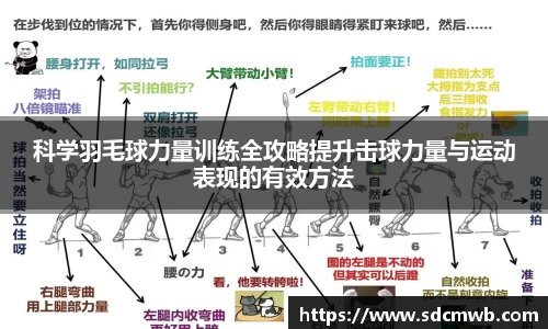 科学羽毛球力量训练全攻略提升击球力量与运动表现的有效方法